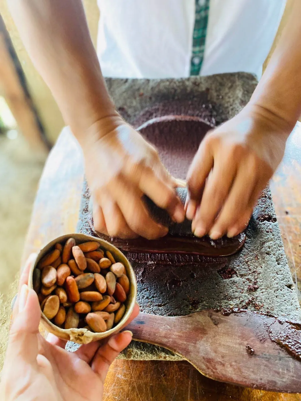 Hands grinding roasted cacao on a traditional stone