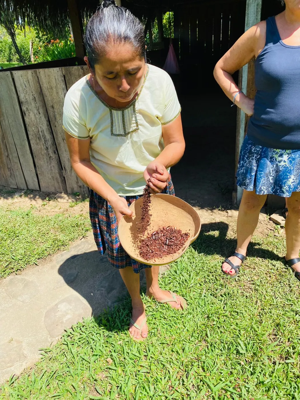 A Maya host winnowing roasted cacao outdoors